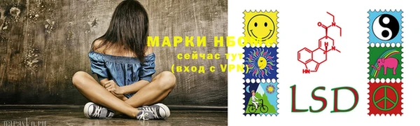 индика Мегион