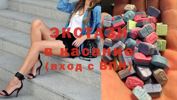 индика Мегион