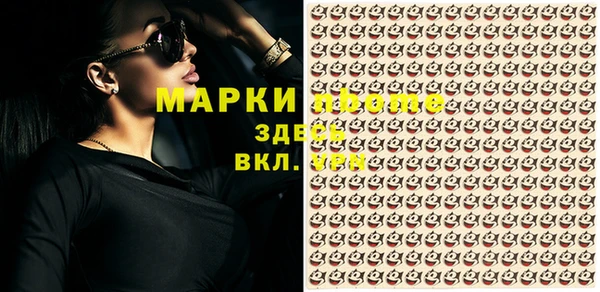 индика Мегион
