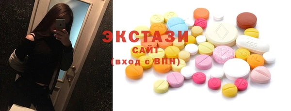 индика Мегион