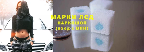 индика Мегион
