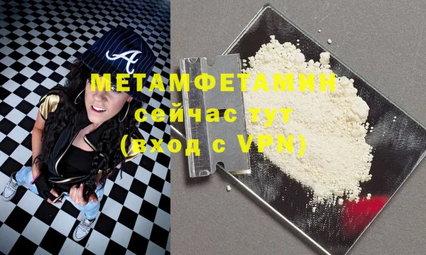 индика Мегион