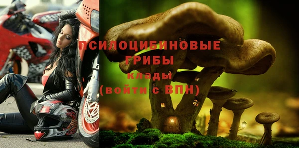 МДМА Белая Холуница