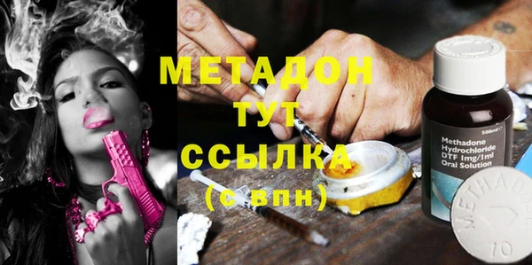 индика Мегион