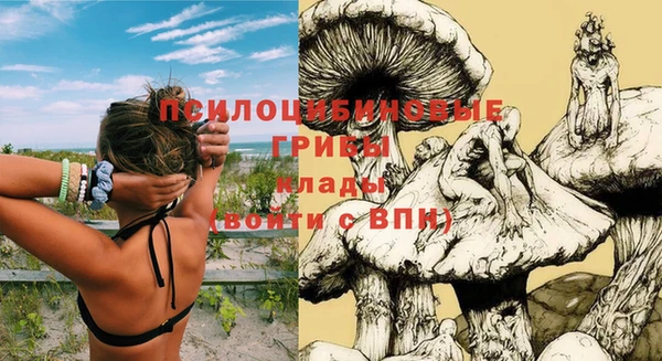 герыч Медногорск