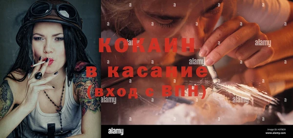 индика Мегион