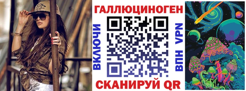 omg как войти  где найти наркотики  Новопавловск  Галлюциногенные грибы Psilocybine cubensis 